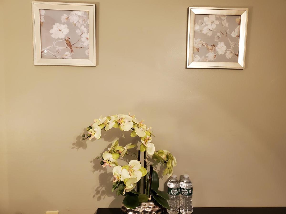 Tranquil House In Cambridge Hotell Eksteriør bilde
